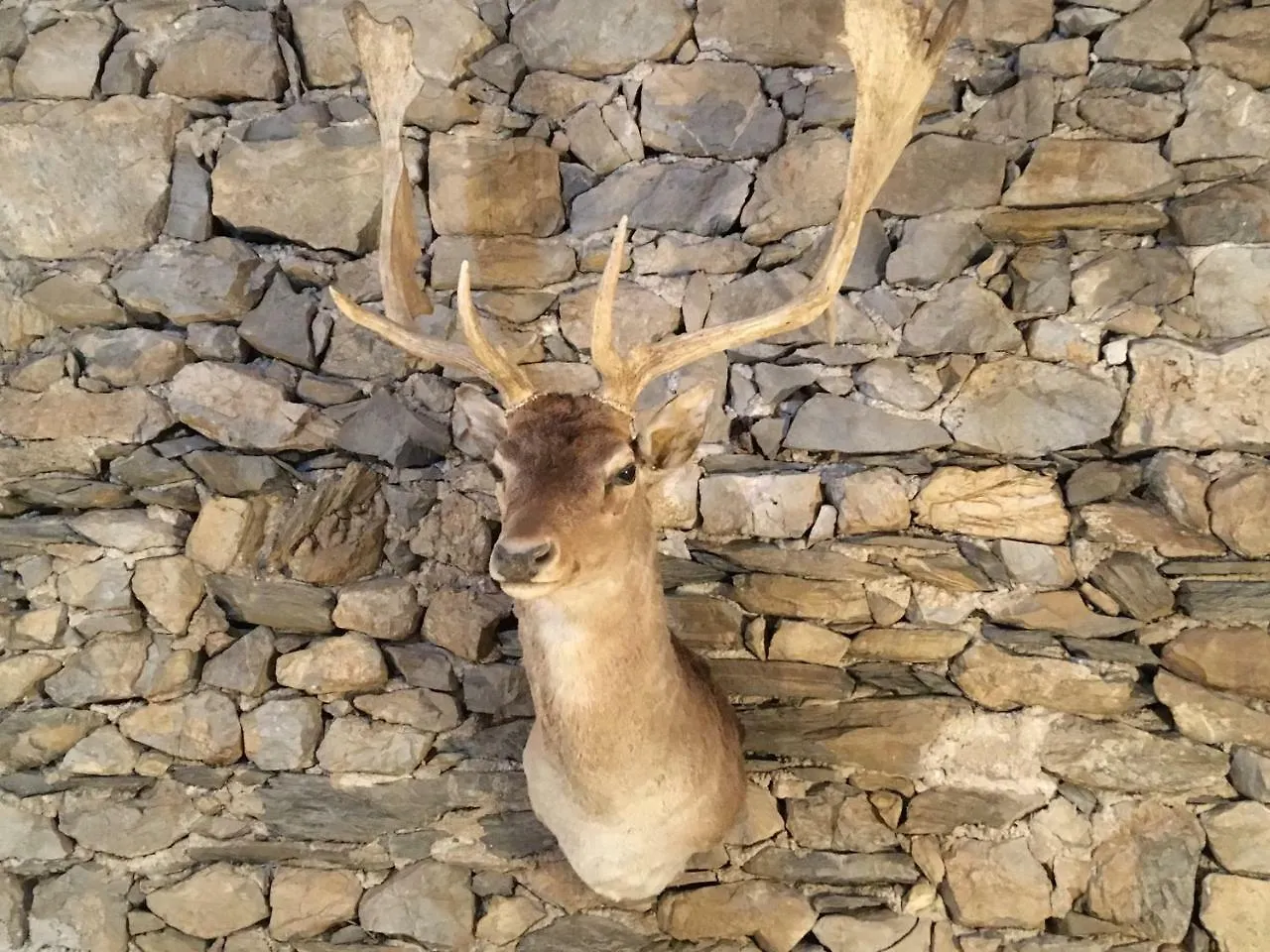 Venas Antica Casa Nella 아파트 이탈리아